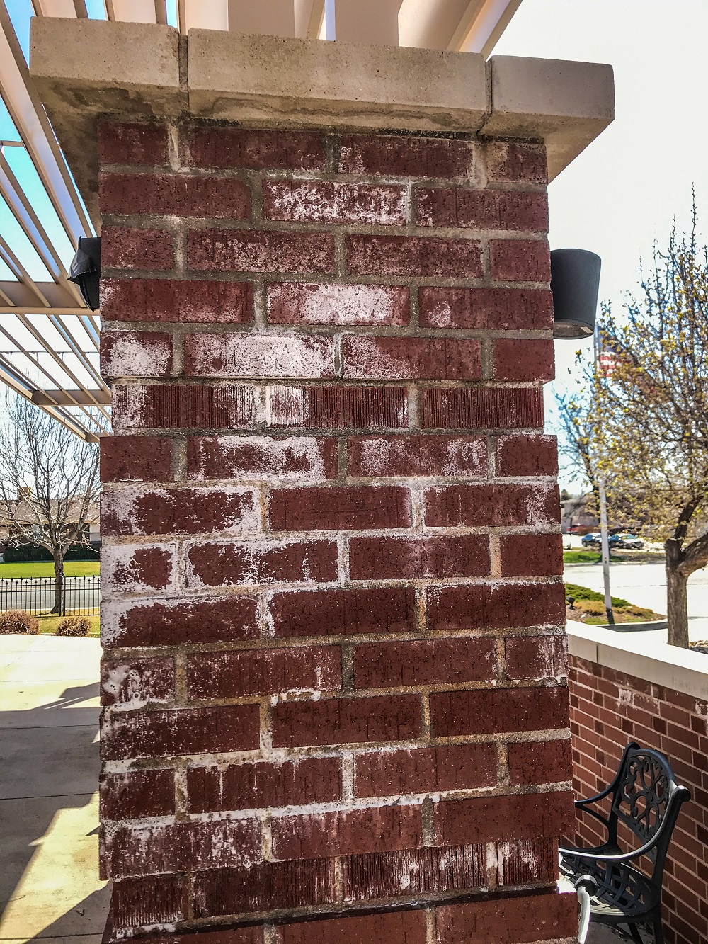 Efflorescence-Removal-On-Brick-Before