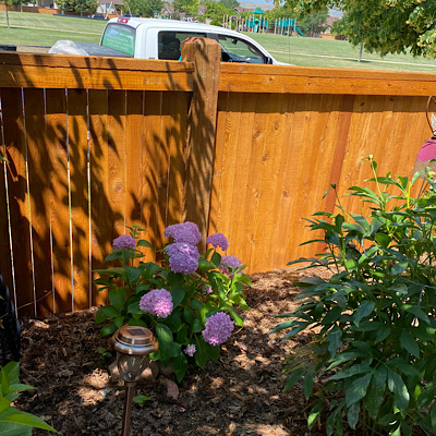 Fence Staining Near Me