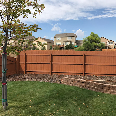 Fence Staining Fort Collins Colorado
