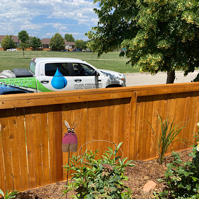 Fence Staining Windsor Colorado