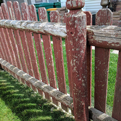 Fence Staining Windsor Colorado