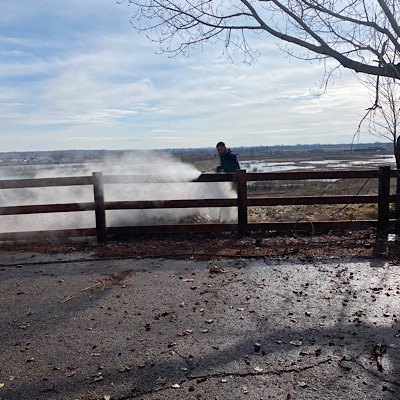 Fence Staining Near Me