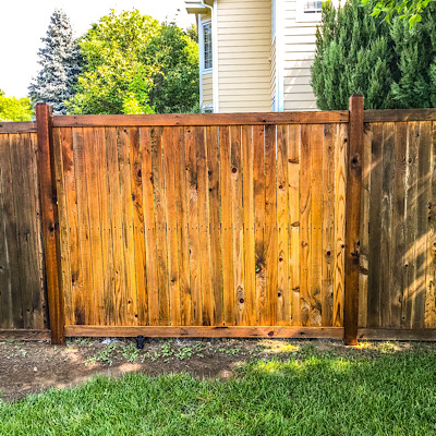 Fence Staining Windsor Colorado