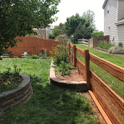 Fence Painting Near Me