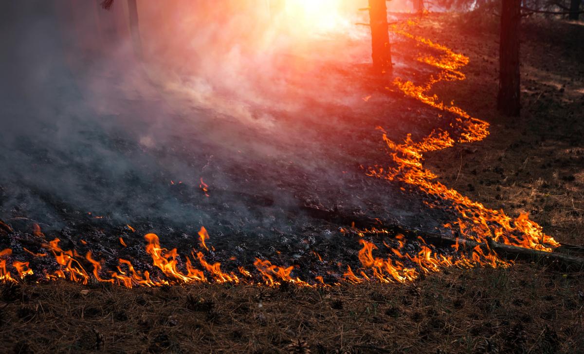 Fire Ash Pressure Washing