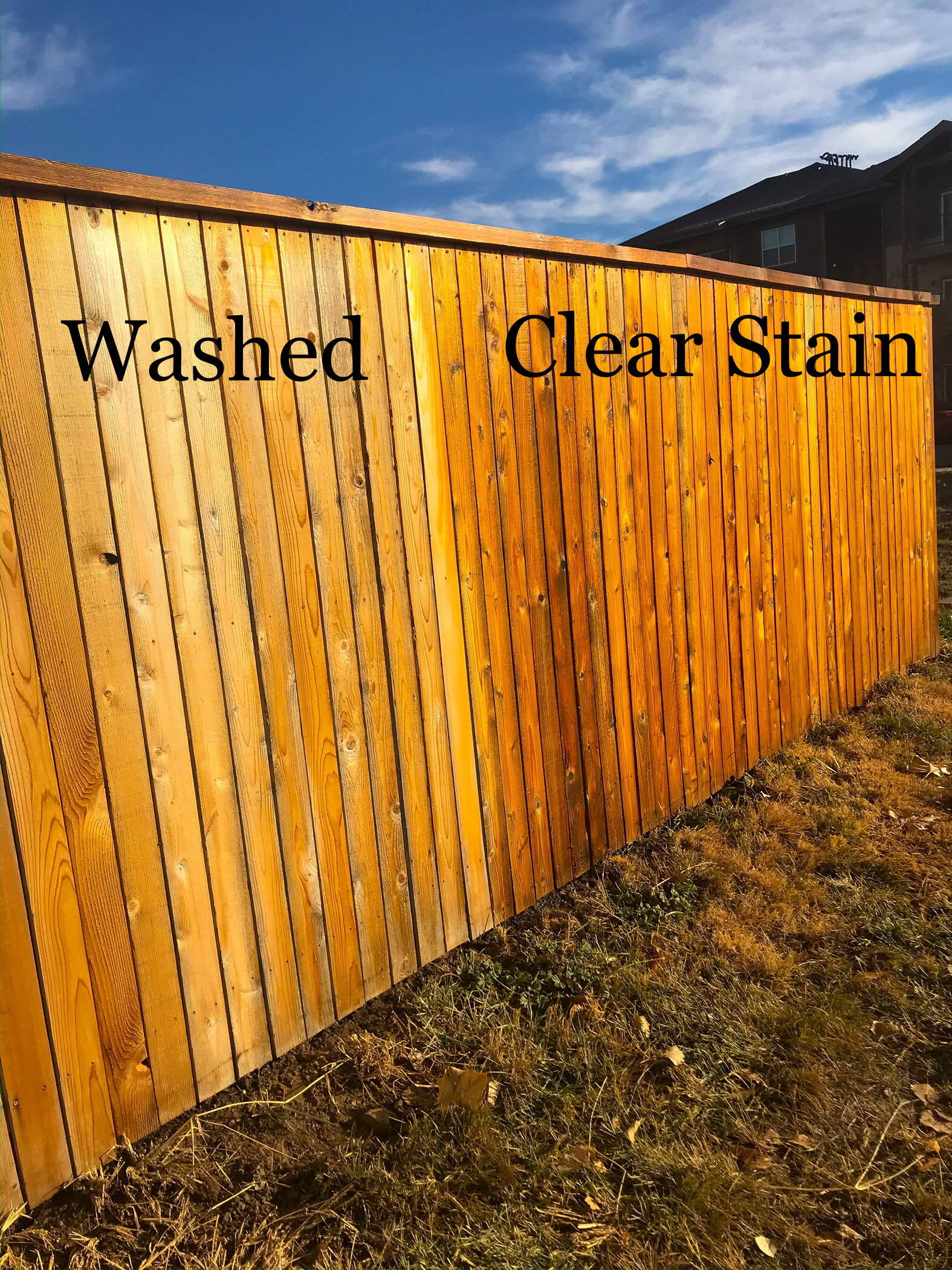 Fence & Deck Staining/Painting 
