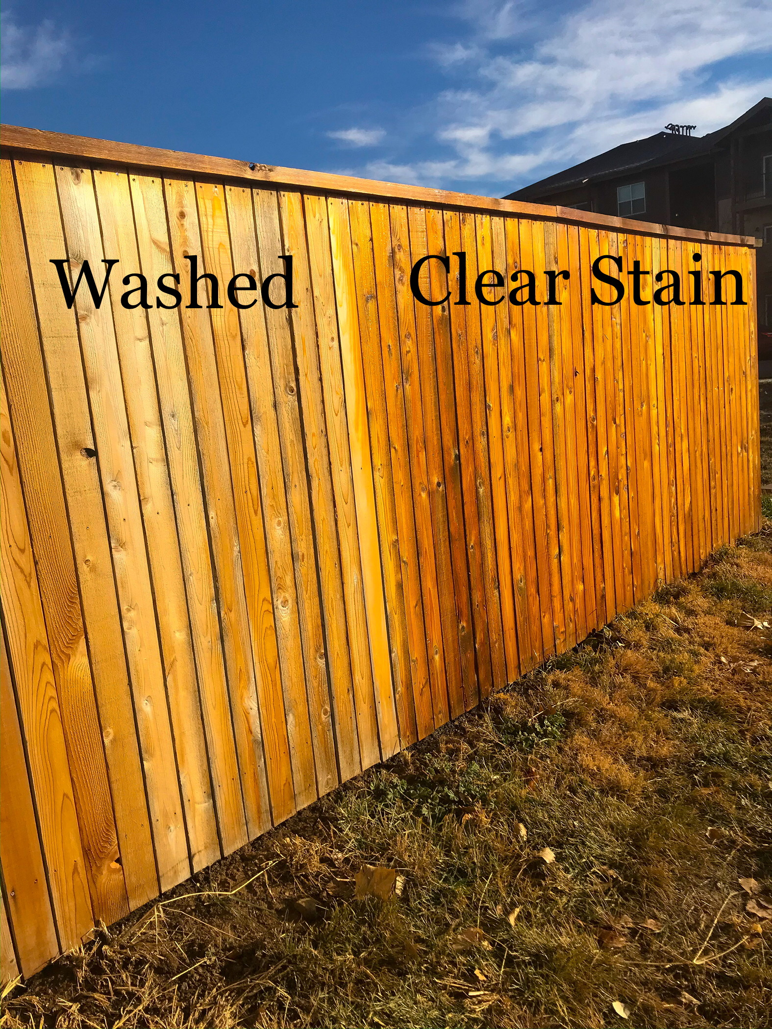 Fence & Deck Staining/Painting