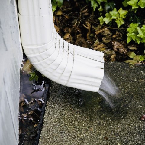 Gutter Cleaning Fort Collins, Loveland, Windsor, Longmont, Berthoud, Estes Park, Wellington, Cheyenne, Southern Wyoming