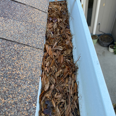Gutter cleaning Fort Collins Colorado