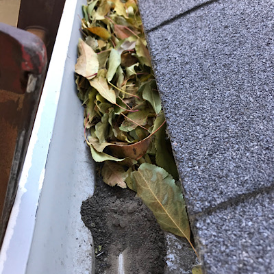 Gutter cleaning Windsor Colorado