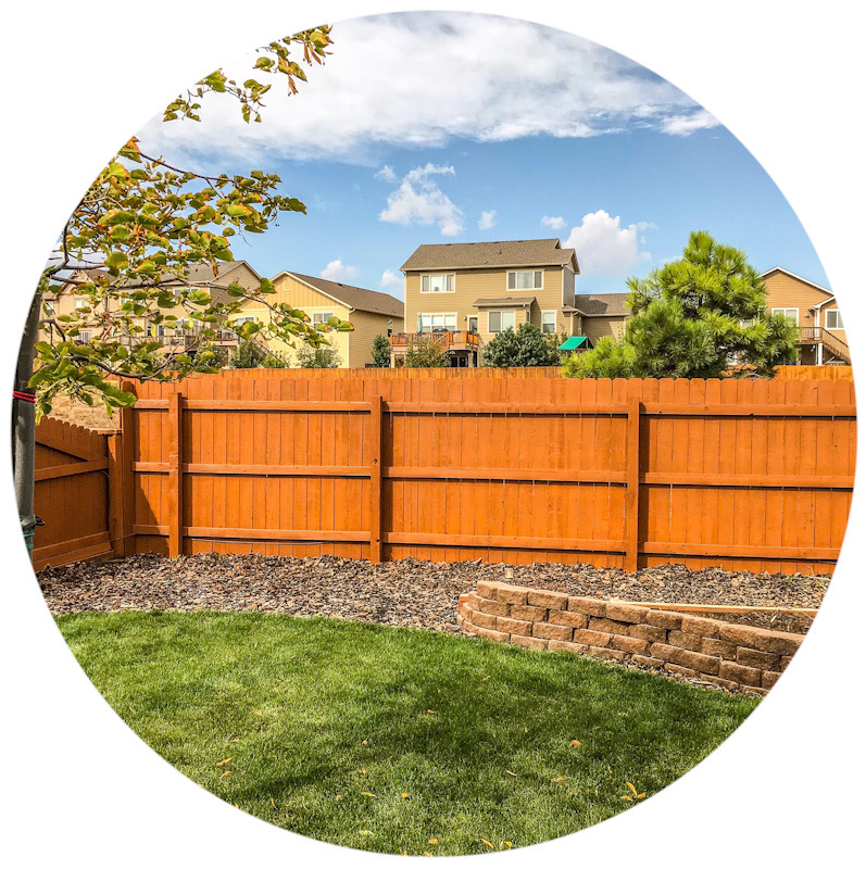 Fence Wash & Stain