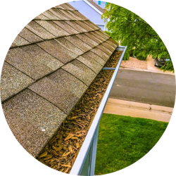 Gutter Cleaning Fort Collins, Loveland, Windsor, Longmont, Berthoud, Estes Park, Wellington, Cheyenne, Southern Wyoming