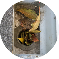 Gutter Cleaning Fort Collins, Loveland, Windsor, Longmont, Berthoud, Estes Park, Wellington, Cheyenne, Southern Wyoming