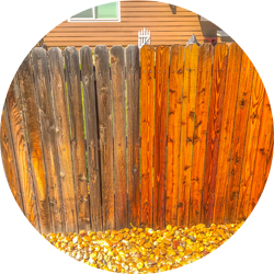 Fence Staining/Painting & washing Fort Collins, Loveland, Windsor, Greeley, Longmont, Berthoud, Estes Park, Wellington, Cheyenne Wyoming and surrounding areas