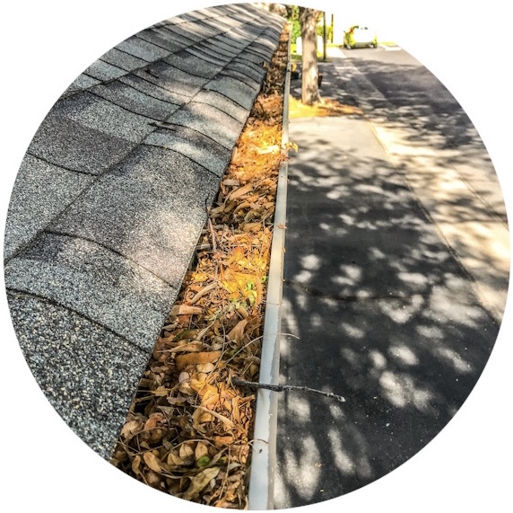 Gutter Cleaning